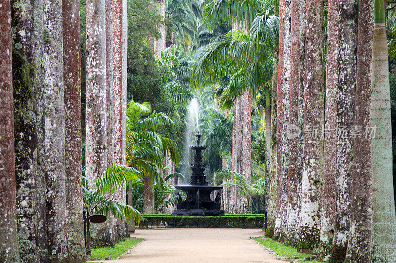 Jardim Botanico喷泉的景色